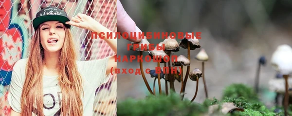 Альфа ПВП Киреевск