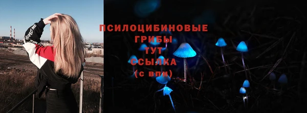 каннабис Алексеевка