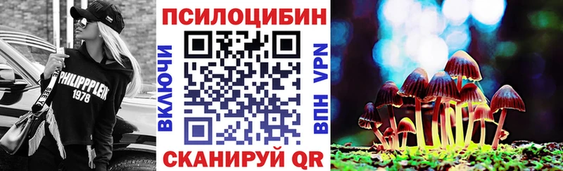 Галлюциногенные грибы мицелий где продают Среднеколымск